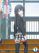 My Teen Romantic Comedy SNAFU Too Vol.1 Blu-ray Soundtrack CD Novel Japan - £32.29 GBP