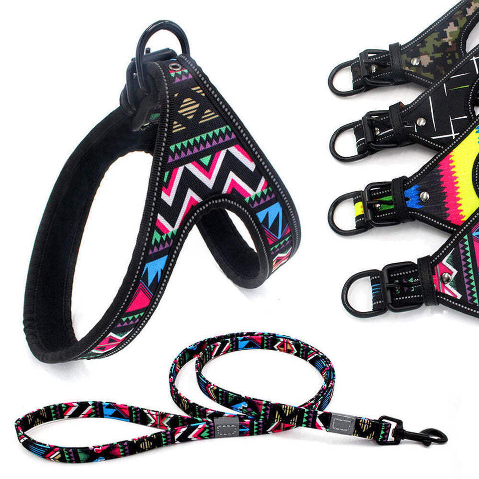 Night-Safe Dog Harness &amp; Leash Set - $21.03+