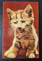 Vintage 1950s Novelty Squeaker Postcard Ferocious Tabby Kitten Green Eyes Japan - £11.86 GBP