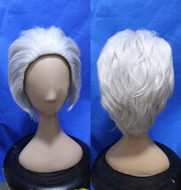 Smoker Wig - $32.00