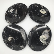4pcs,6.25&quot;x4.75&quot;x5mm Oval Fossils Orthoceras Ammonite Bowls Dishes,Black, MF1373 - £28.52 GBP