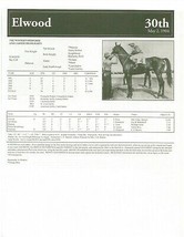 1904 - ELWOOD - Kentucky Derby Race Chart, Pedigree &amp; Career Highlights - £15.73 GBP