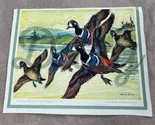 1960s Vintage &quot;Harlequin Ducks&quot; Charles De Feo Color Print 10 1/2” X 13” - $9.90