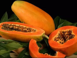 Taiwan red lady 786 f1 hybrid papaya seebs 10g (500 seebs) - $4.96