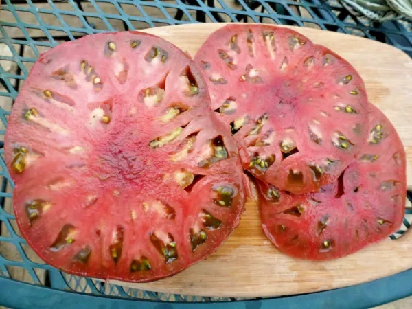 51 Cherokee Purple Tomato Organic Native Summer Fresh Seeds - $26.00