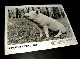 1984 Movie A Private Function 8x10 Press Photo Still Pig Sow Piggy Oink Bacon - £7.19 GBP