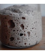 WHARF-SAN FRANCISCO-SOUR DOUGH STARTER yeast plus recipes - $7.76