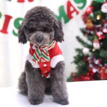 Ts dogs clothes santa costume for chihuahua yorkshire pet cat clothing flannel coat new thumb200