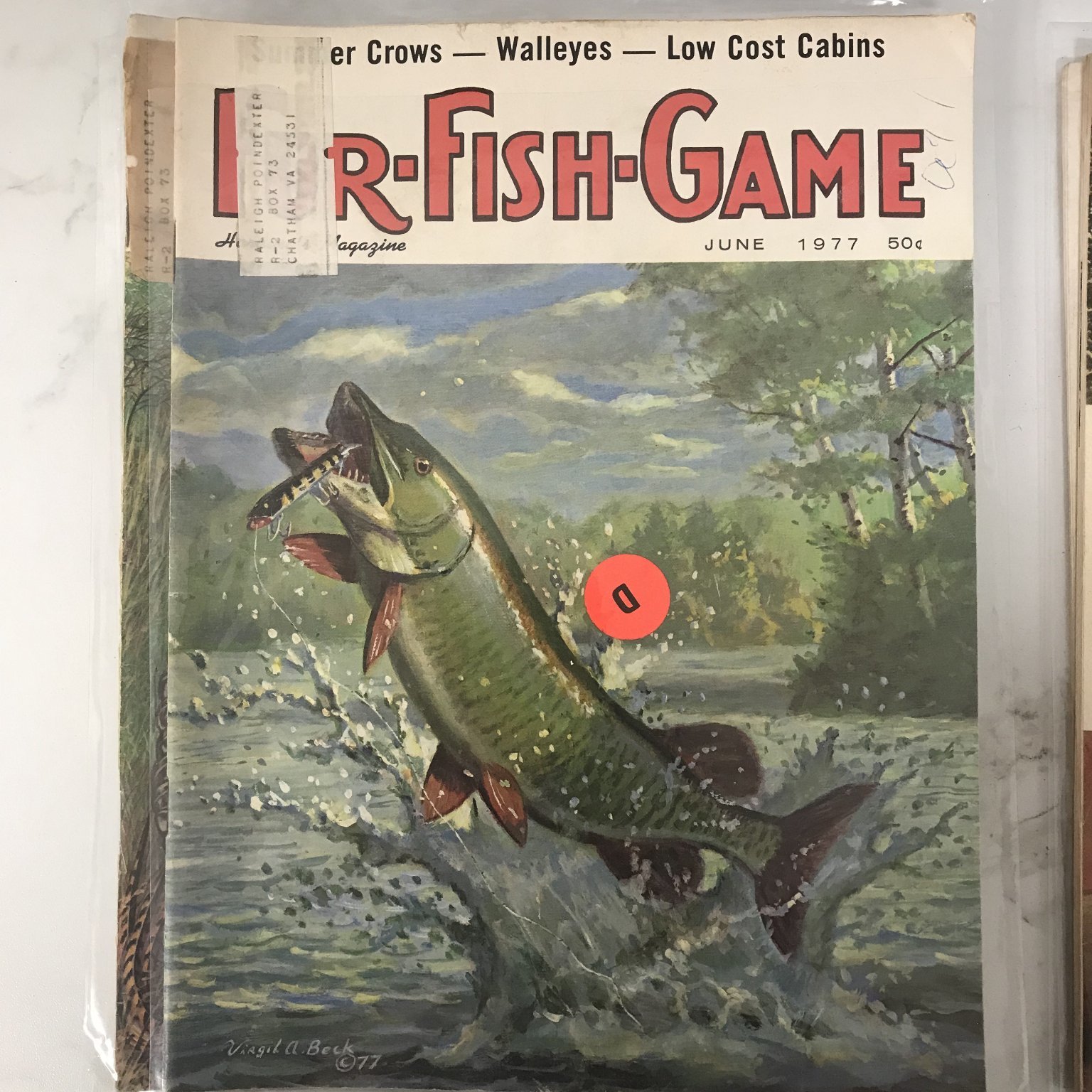 Full-size item image