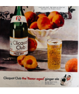 1947 Clicquot Club Ginger Ale Advertisement Soda Pale Dry Vintage DWWW8 - $29.99