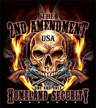 2ND Amendment Homeland Security Size M Tee Shirt TS304 Gun Black Tshirt Unisex - £7.47 GBP