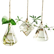 Terrarium Container Flower Planter Hanging Glass For Hydroponic Plants H... - $25.99