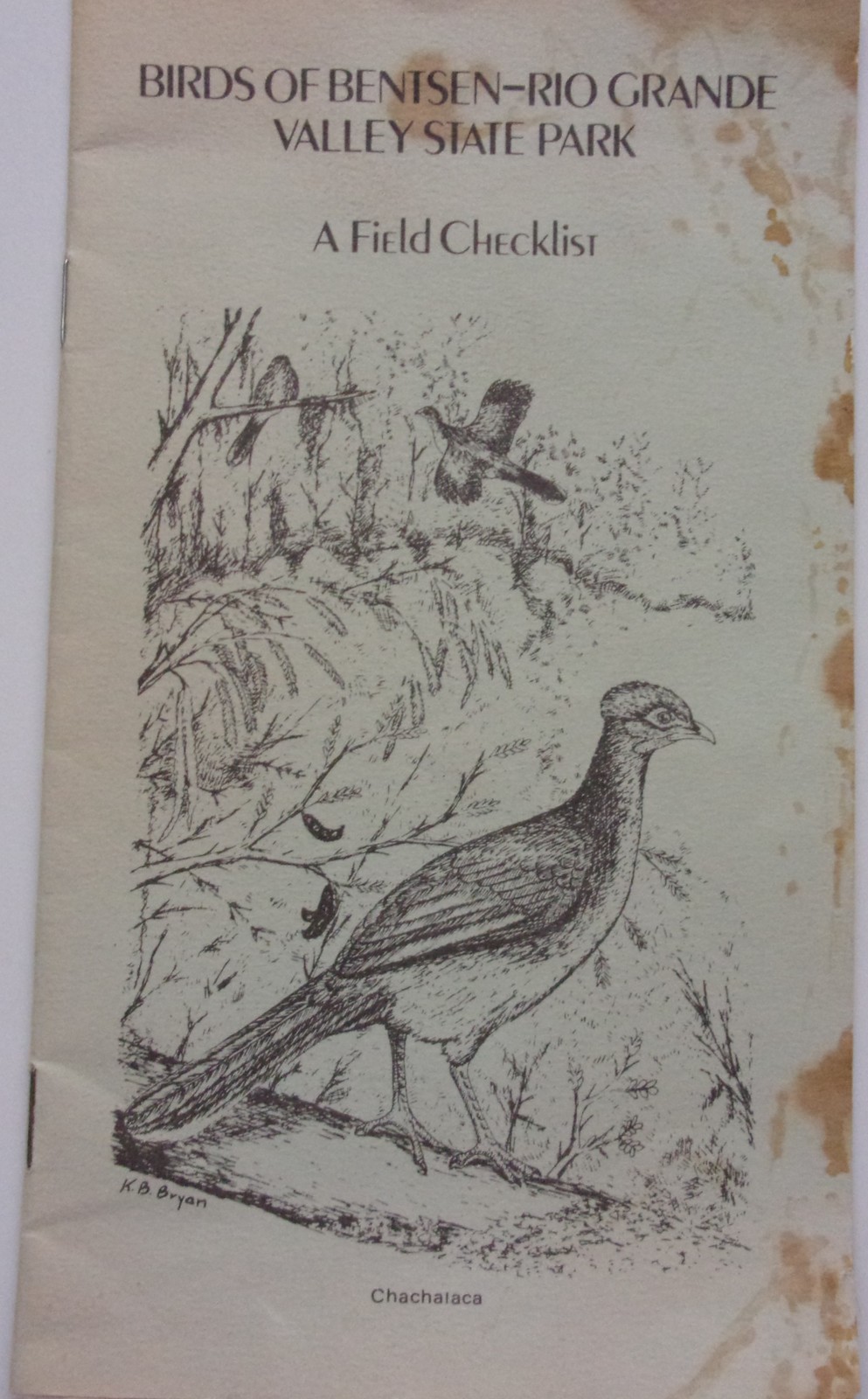 Primary image for Vtg Birds Of Bentsen-Rio Grande Valley State Park Map & A Field Check List 1981