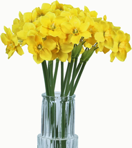 Artificial Daffodil Flowers 15.8 Inches Narcissus Spring Flower Fake Silk Flower - £23.06 GBP