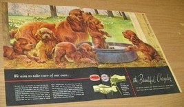 1948 Print Ad Chrysler-Plymouth Dealers Dog &amp; Puppies Get Bath - $13.99