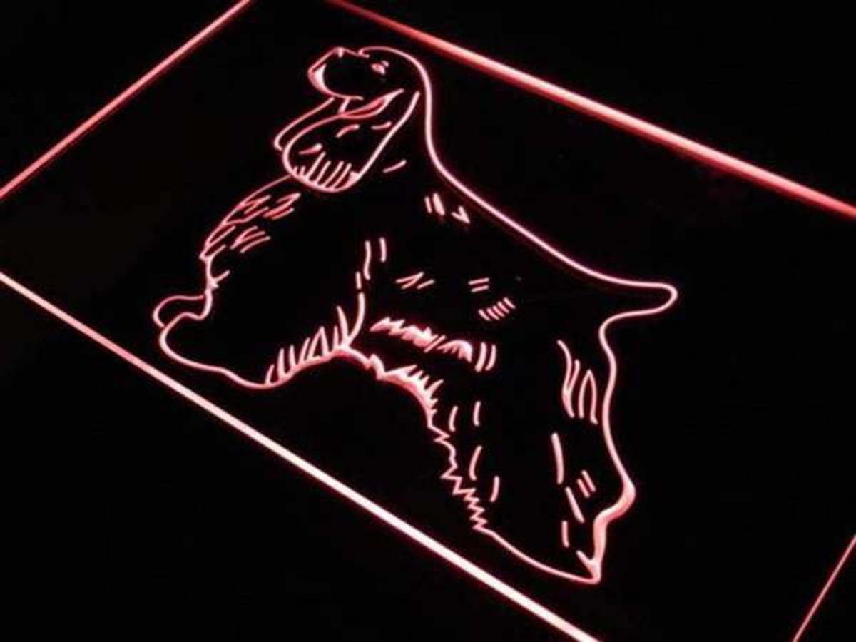 Item image 3