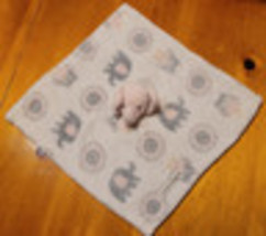 Item image 14