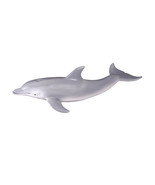 CollectA Bottlenose Dolphin Figure (Medium) - £26.48 GBP
