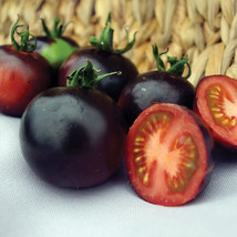 PPA 50 Seeds Indigo Rose Tomato Juicy Tomatoe Vegetable Garden Edible Food - $4.76