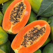 50pcs Red Heart Creamy Papaya Seeds The Best of Papayas for Your Home Ga... - $9.43