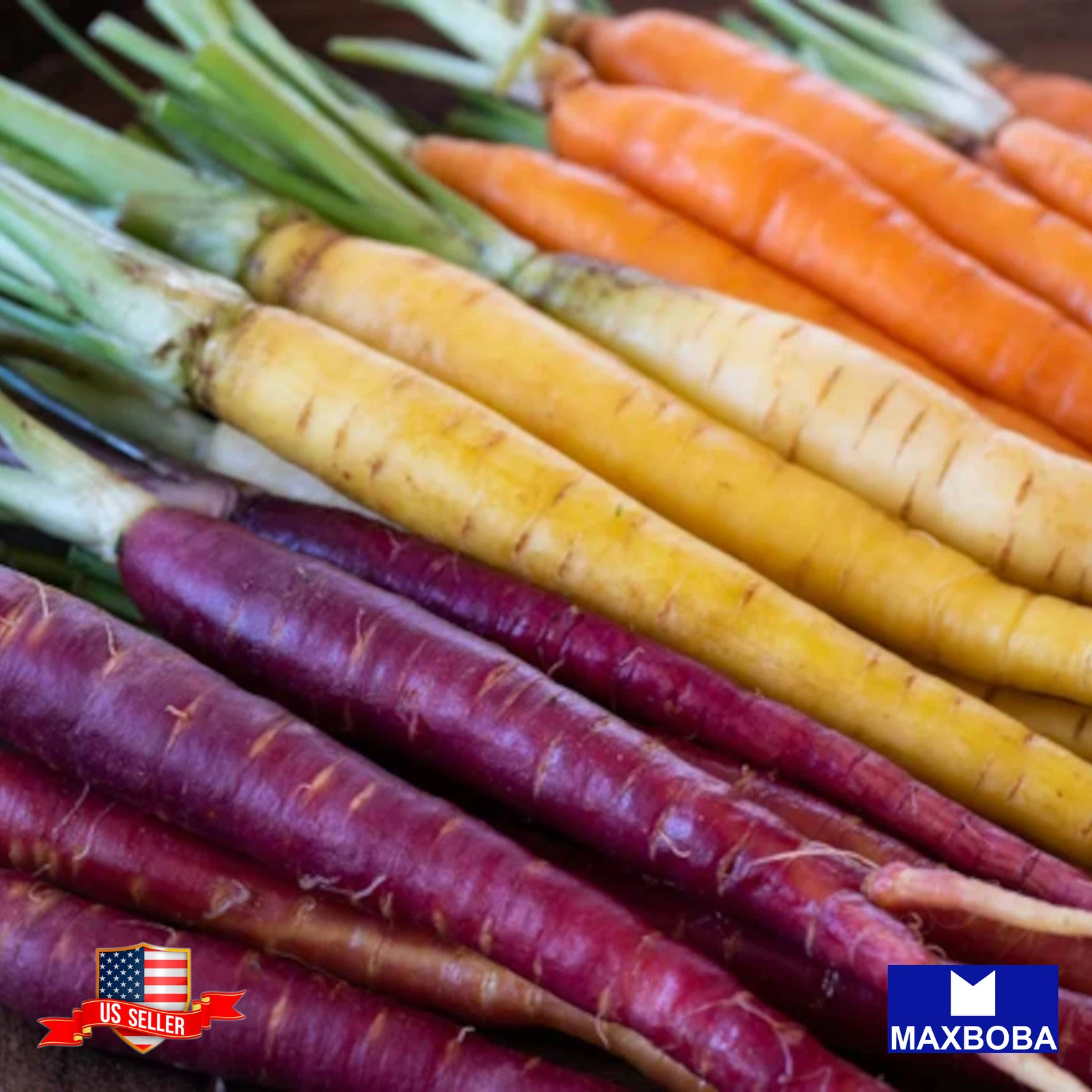 Carrot Seeds Rainbow Blend (Organic) Non-GMO Heirloom - $4.22