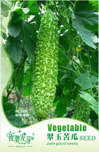 Original Pack, 12 Seeds / Pack, Green Bitter Gourd Seed Bitter Melon Balsam Pear - £3.19 GBP