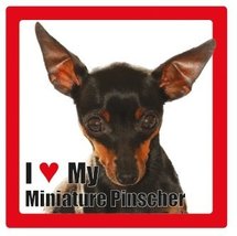 I Love My Dog Ceramic Photographic Square Coaster with Breed Name (Miniature Pin - £2.51 GBP