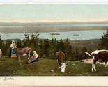 Orsa Cows Sweden Undivided Back Postcard  - $5.94