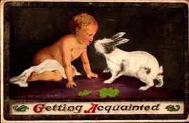 Vintage postcard 1909- &quot;Getting Acquainted&quot; toddler &amp; rabbit Ullman-bkC - £4.67 GBP