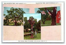 Multiview Famous Trees Geneva Waterloo Aurora New York NY UNP WB Postcard Q23 - £5.54 GBP
