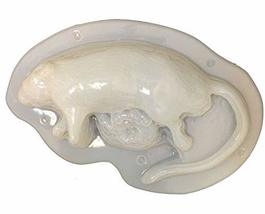 Life Size Road Kill Horror SQUISHED RAT GELATIN MOLD Craft Dessert Zombi... - $9.87