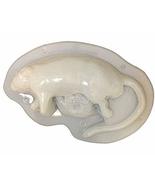Life Size Road Kill Horror SQUISHED RAT GELATIN MOLD Craft Dessert Zombi... - $185.11 MXN