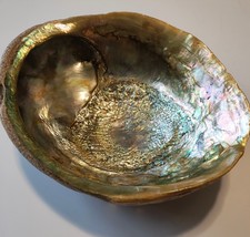 Natural Abalone Shell Smudge Bowl Jewelry Dish Trinket Crystal Holder - $1,387.29 MXN