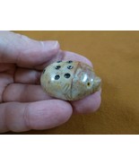 (Y-LAD-54) red gray Ladybug ladybird beetle love bugs figurine SOAPSTONE... - $163.26 MXN