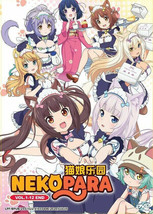 Nekopara Vol.1-12 END Complete Anime DVD (English Dub) - £17.25 GBP