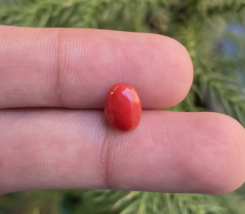 Natural Coral Gemstone, Oval Shape Coral, Gift For Her, Jewelry Making G... - $9.99