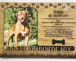 DOGUE DE BORDEAUX Dog Profile Laser Engraved Wood Picture Frame Magnet - $9.90