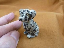 Y-DOG-LA-551) black white Dalmatian large lap Dog carving FIGURINE gemst... - £10.99 GBP
