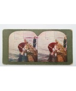 Stereoview Stereoscope Photo &quot;Giving Prince A Wash&quot; Man &amp; Boy Washing Dog  - £15.80 GBP