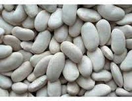 Lima Bean, Henderson Bush, Non GMO, 100+ Seeds, Great Tasting and Healthy - £7.06 GBP
