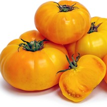 Yellow Brandywine Tomato Seeds Indeterminated Potato leaf Tomato Seeds 30 Seeds  - £7.51 GBP