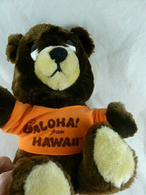 Vintage Dakin Teddy Bear Plush 1976 Hawaii Keiki Aloha Shirt Hawaiin 10&quot;... - £27.92 GBP