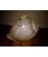 HOME STUDIO &quot;SHORELINE&quot; COLLECTION SHELL COOKIE JAR - NEW- 10&quot;x 12&quot; - £50.07 GBP