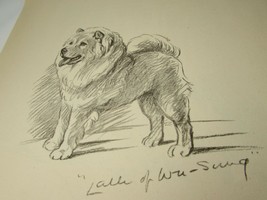 Lucy Dawson 1937 Chow Lalla Dog Print Vintage 33432 Westie Timothy West Highland - £23.64 GBP