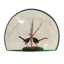 Dried Pressed Flowers Lucite Paperweight Bookend  Vintage Birds From Roadrunner - £20.99 GBP