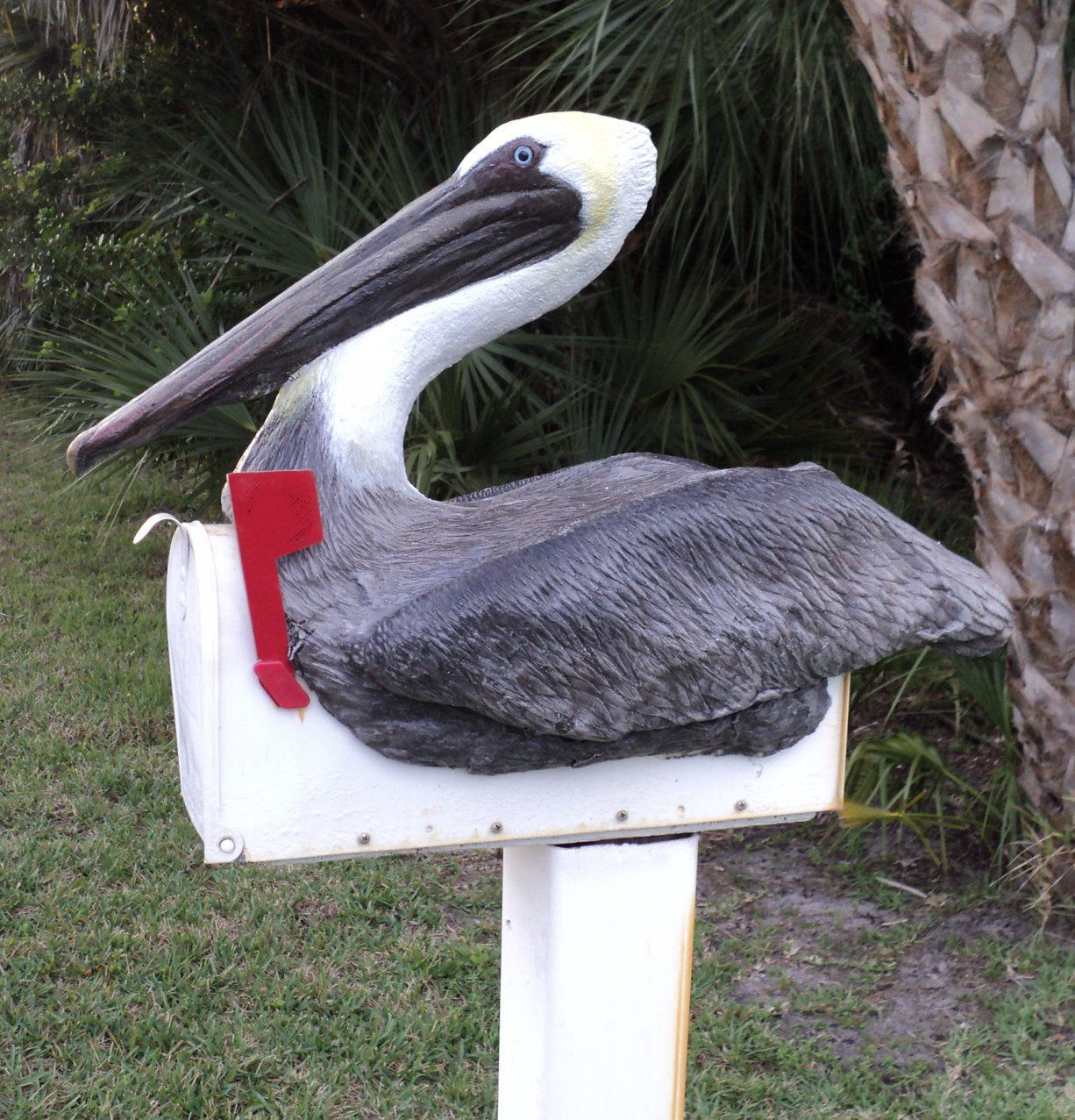 Lifesize Brown Pelican On Mailbox - $312.00