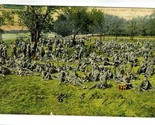 Life in Our Army Royal Scots at Rest Postcard 1906 - £9.47 GBP