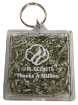 Girl Scouts Thanks a Million Key Chain Greenback 1999 Scouting History Vintage - £6.31 GBP