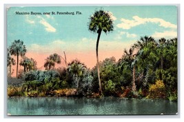 Maximo Bayou Near St Petersburg Florida FL UNP DB Postcard T4 - £6.25 GBP