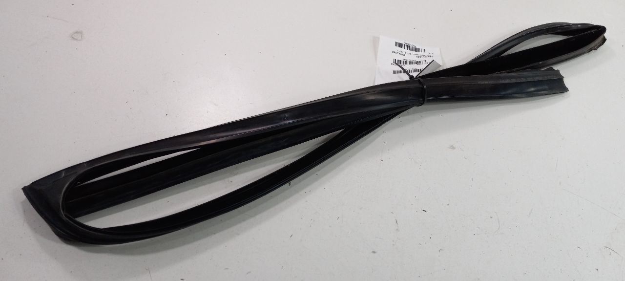 Range Rover Door Glass Window Seal Rubber Right Passenger Front 2003 200... - $49.79
